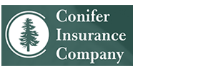 Conifer